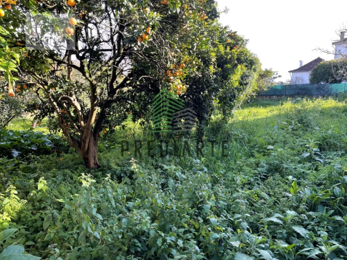 Terreno para Venda em Gulpilhares e Valadares Foto 2