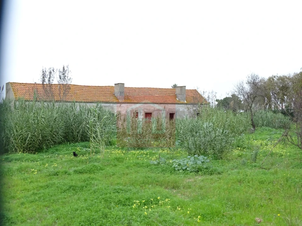Quinta T1 para Venda em Alcochete Foto 4