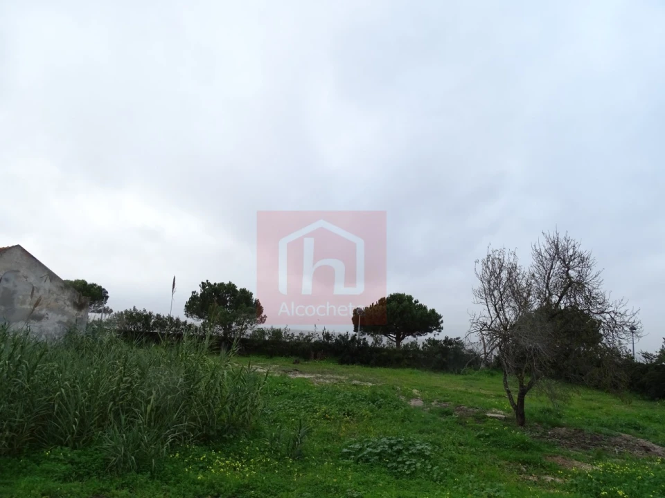 Quinta T1 para Venda em Alcochete Foto 17