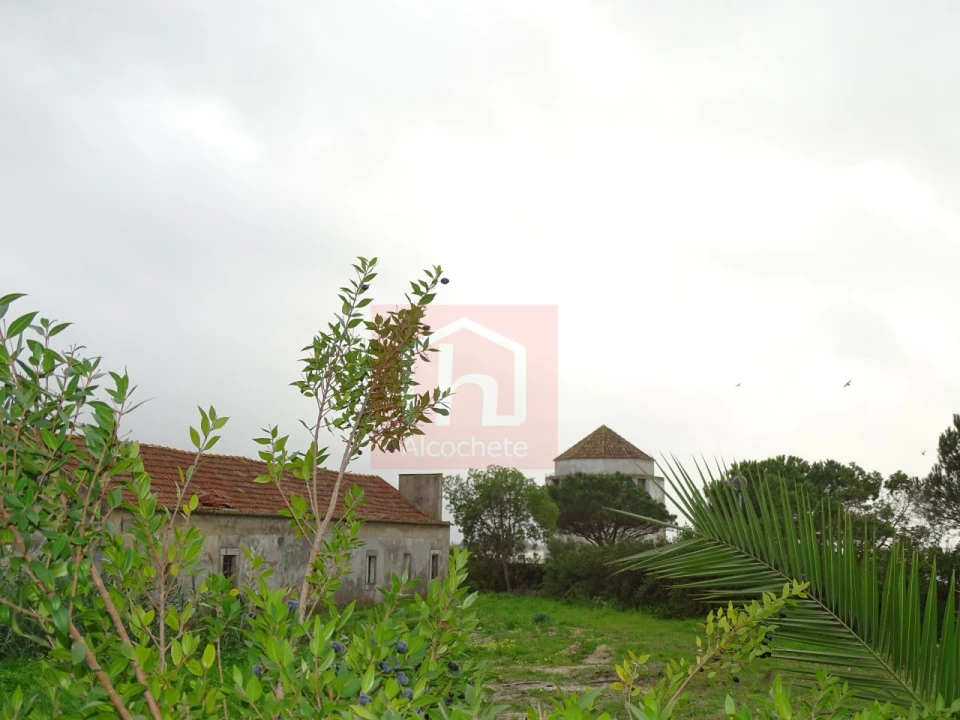 Quinta T1 para Venda em Alcochete Foto 20