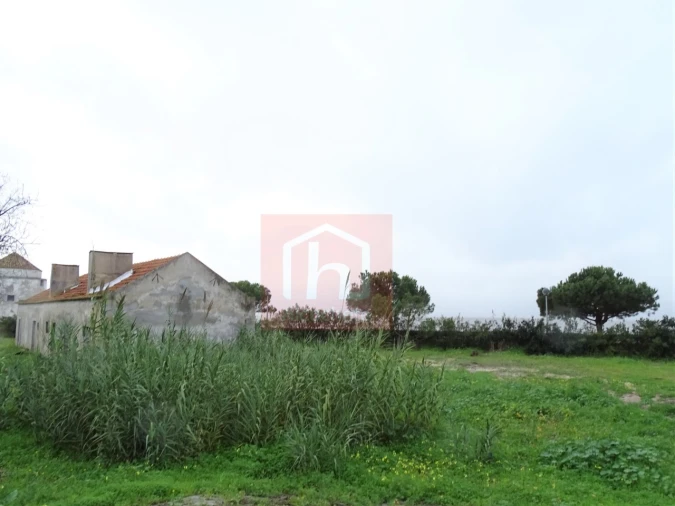 Quinta T1 para Venda em Alcochete Foto 16