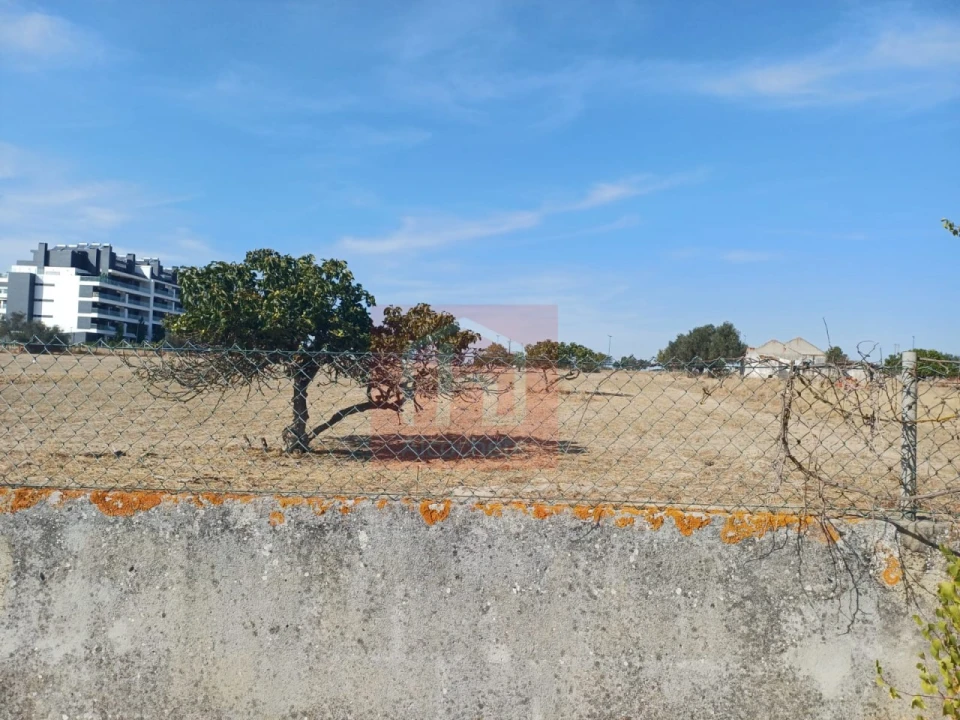 Terreno para Venda em Montijo e Afonsoeiro Foto 11