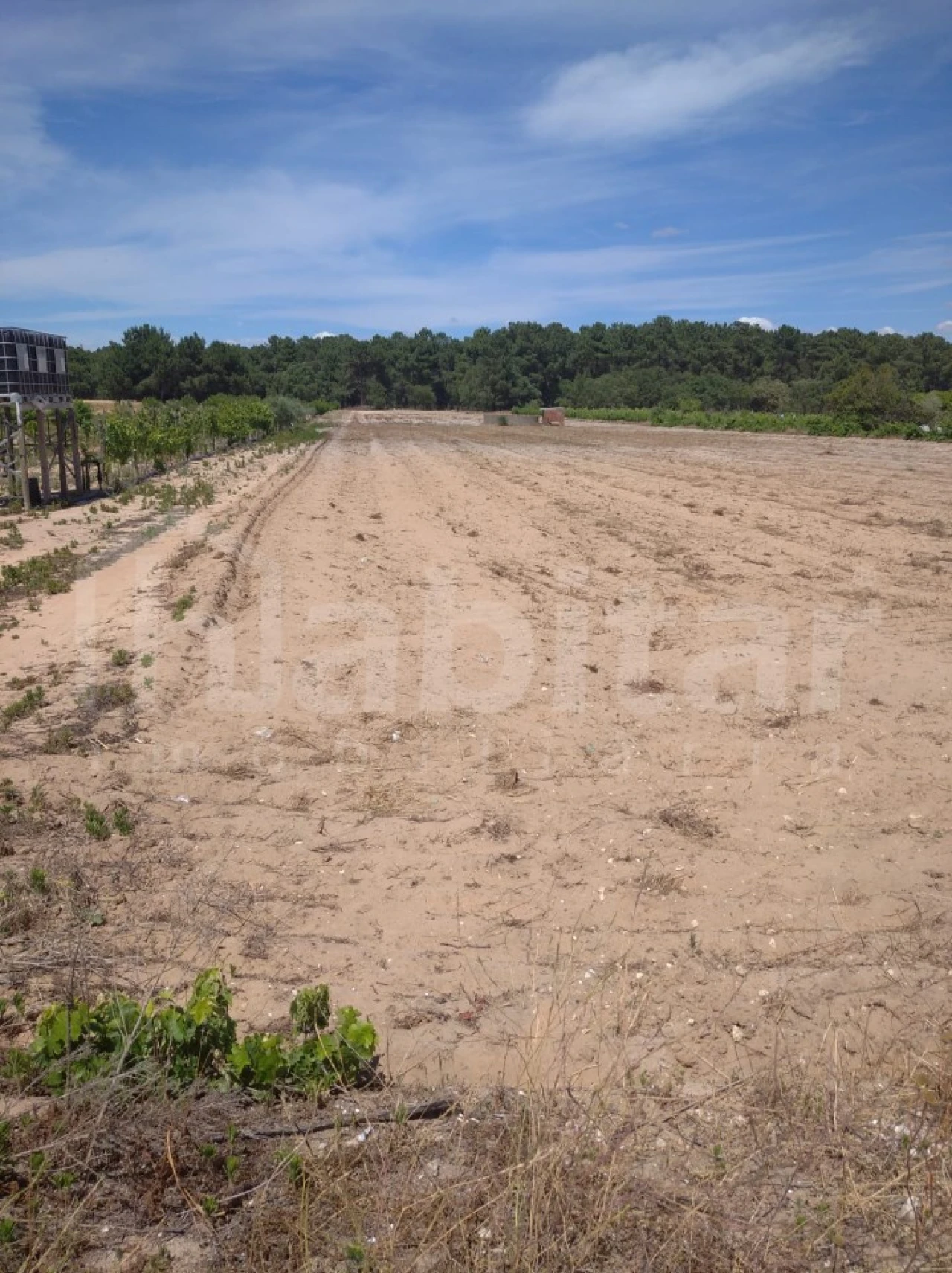 Terreno para Venda em Salvaterra de Magos e Foros de Salvaterra Foto 2