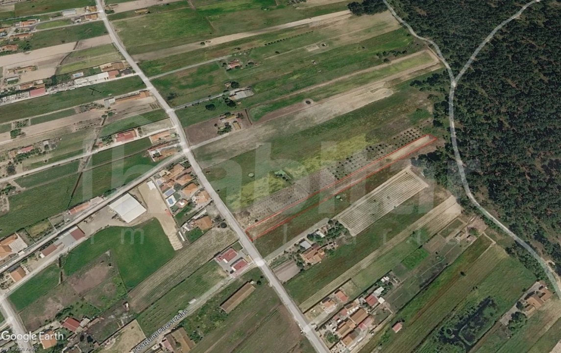 Terreno para Venda em Salvaterra de Magos e Foros de Salvaterra Foto 4