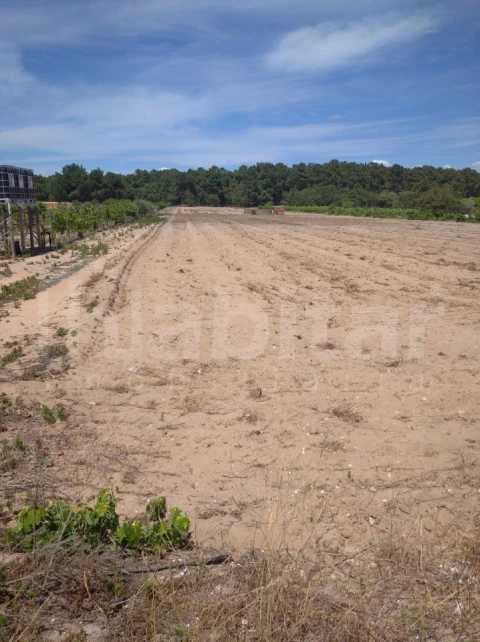 Terreno para Venda em Salvaterra de Magos e Foros de Salvaterra