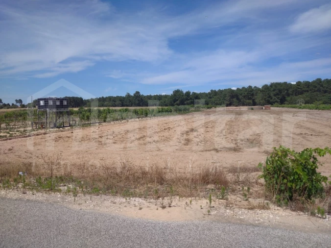 Terreno para Venda em Salvaterra de Magos e Foros de Salvaterra Foto 3