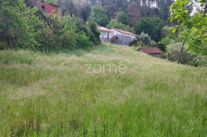 Terreno para Venda em Jazente