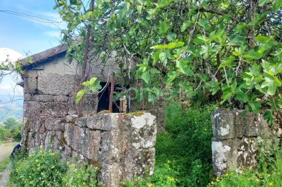 Terreno para Venda em Jazente