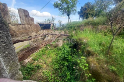 Terreno para Venda em Jazente