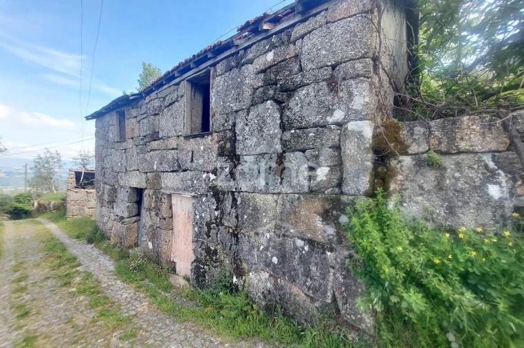 Terreno para Venda em Jazente Foto 9
