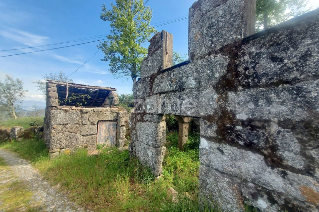Terreno para Venda em Jazente Foto 1