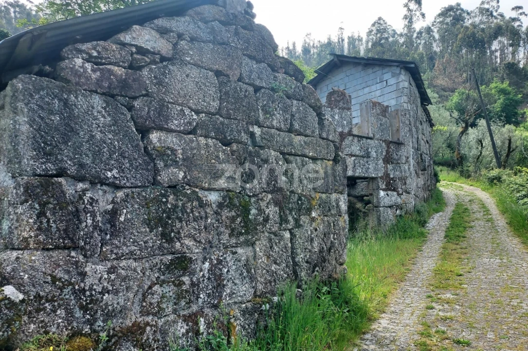 Terreno para Venda em Jazente Foto 2