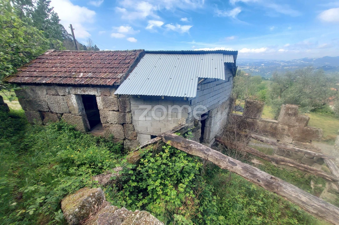 Terreno para Venda em Jazente Foto 3