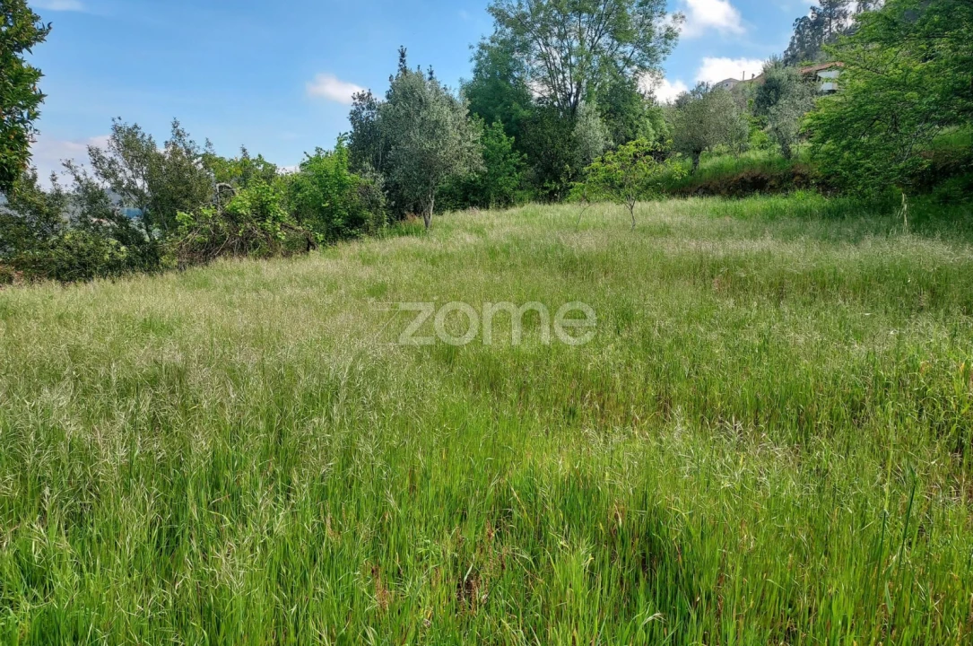 Terreno para Venda em Jazente Foto 4