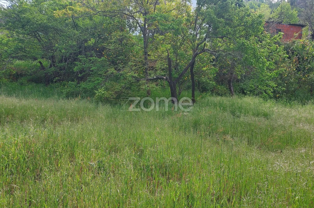 Terreno para Venda em Jazente Foto 6