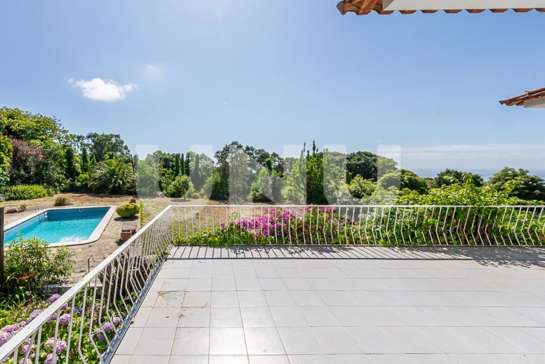 Quinta T6 para Venda em Colares Foto 3