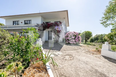 Quinta T6 para Venda em Colares