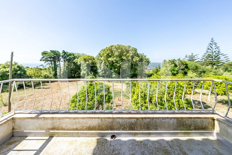 Quinta T6 para Venda em Colares Foto 15