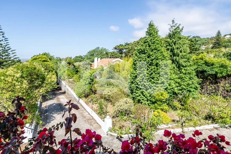 Quinta T6 para Venda em Colares Foto 24