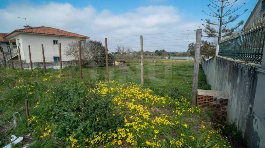 Terreno para Venda em Nossa Senhora do Pópulo, Coto e São Gregório Foto 10