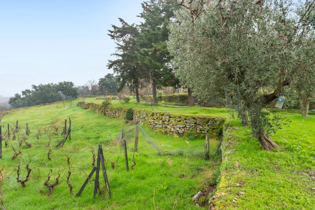 Moradia T4 para Venda em Custoias Foto 24