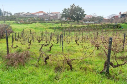 Moradia T4 para Venda em Custoias