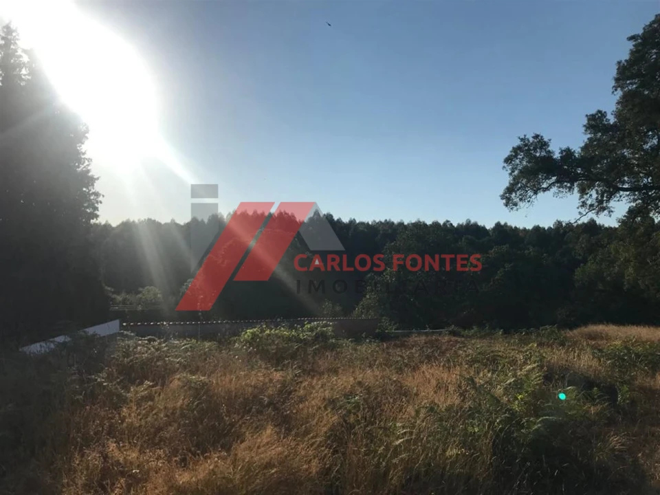 Terreno para Venda em Santo Tirso, Couto (Santa Cristina e São Miguel) e Burgães Foto 1