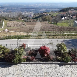 Quinta para Venda em Guardão