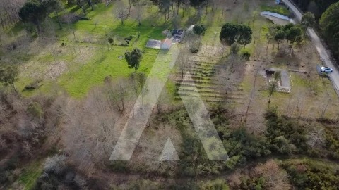 Quinta para Venda em Santar e Moreira