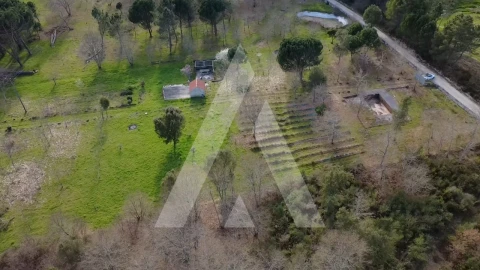 Quinta para Venda em Santar e Moreira