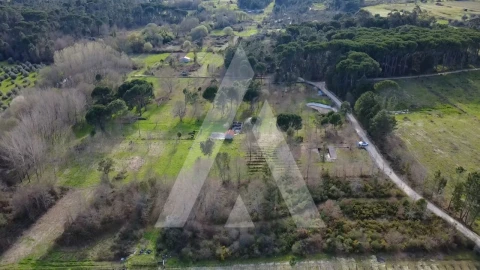 Quinta para Venda em Santar e Moreira