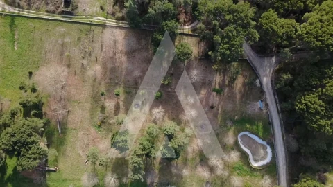 Quinta para Venda em Santar e Moreira