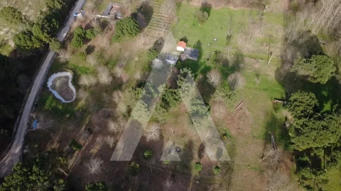 Quinta para Venda em Santar e Moreira