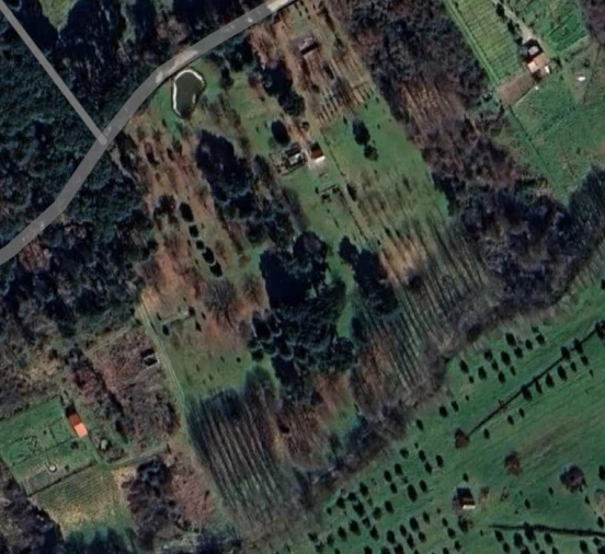 Quinta para Venda em Santar e Moreira Foto 13