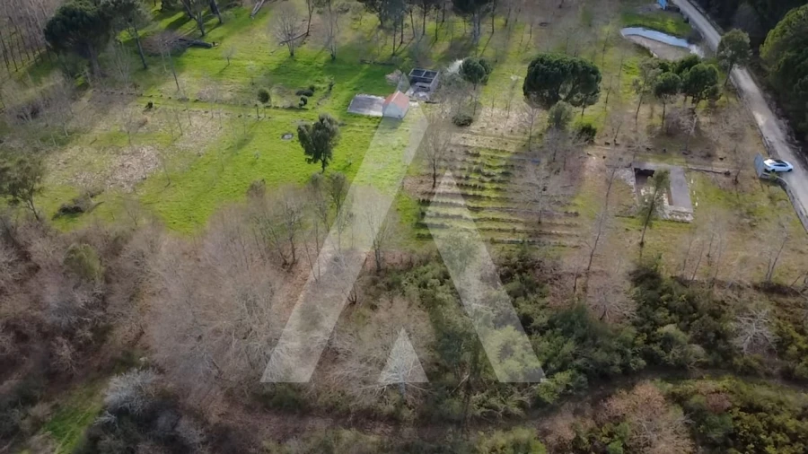 Quinta para Venda em Santar e Moreira Foto 8