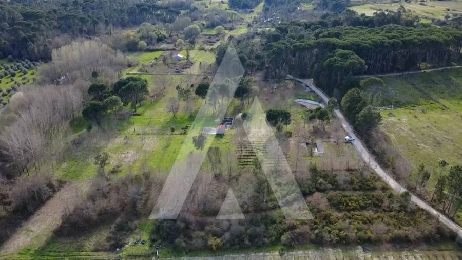 Quinta para Venda em Santar e Moreira Foto 9