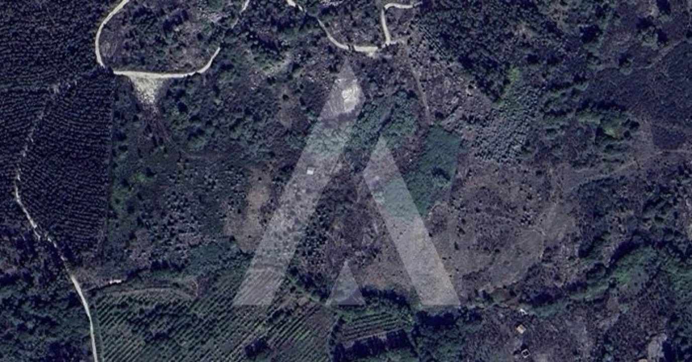 Quinta para Venda em Esmolfe Foto 1