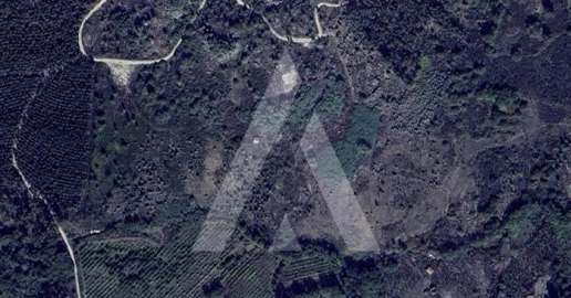 Quinta para Venda em Esmolfe