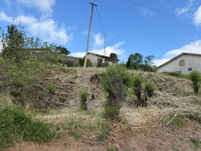 Terreno para Venda em Barrô e Aguada de Baixo Foto 4