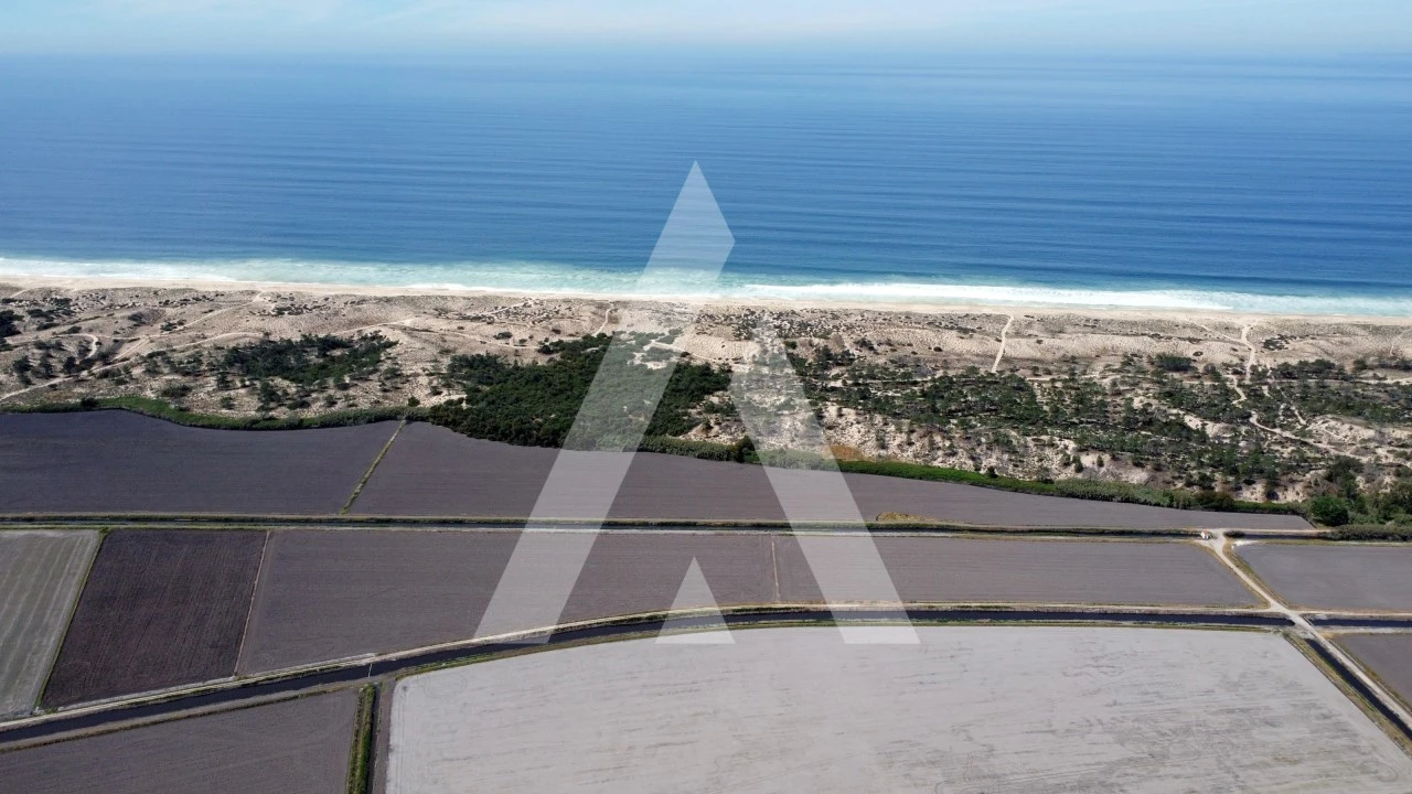 Moradia T5 para Venda em Santa Maria do Castelo e Santiago e Santa Susana Foto 42