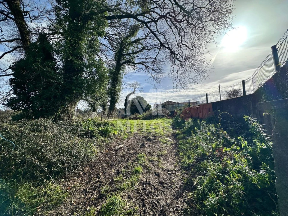 Terreno para Venda em Mazarefes e Vila Fria Foto 3