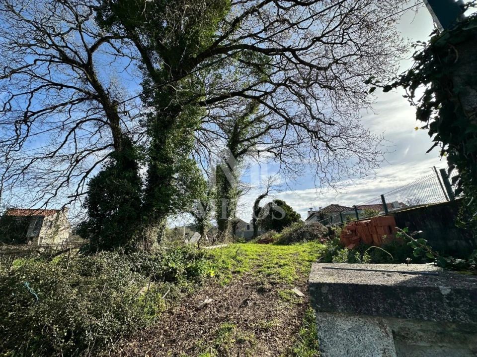 Terreno para Venda em Mazarefes e Vila Fria Foto 6