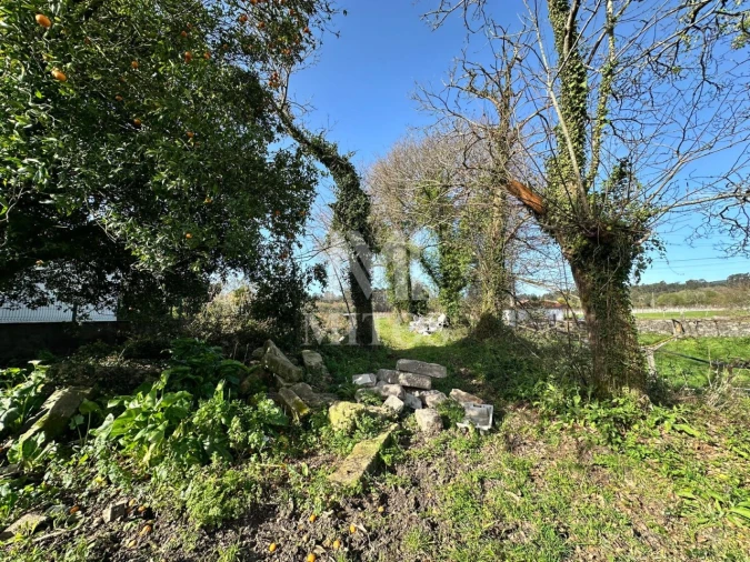 Terreno para Venda em Mazarefes e Vila Fria Foto 2