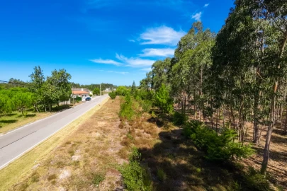 Terreno para Venda em Moinhos de Gandara