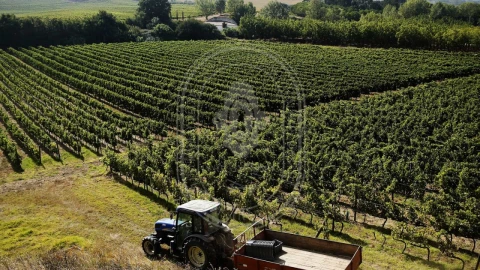 Quinta T10 para Venda em Vale de Santarem