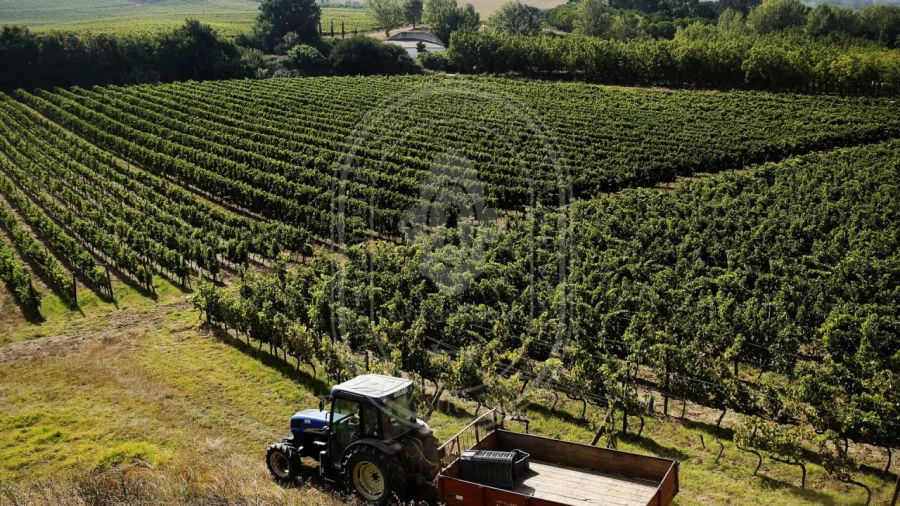 Quinta T10 para Venda em Vale de Santarem Foto 8