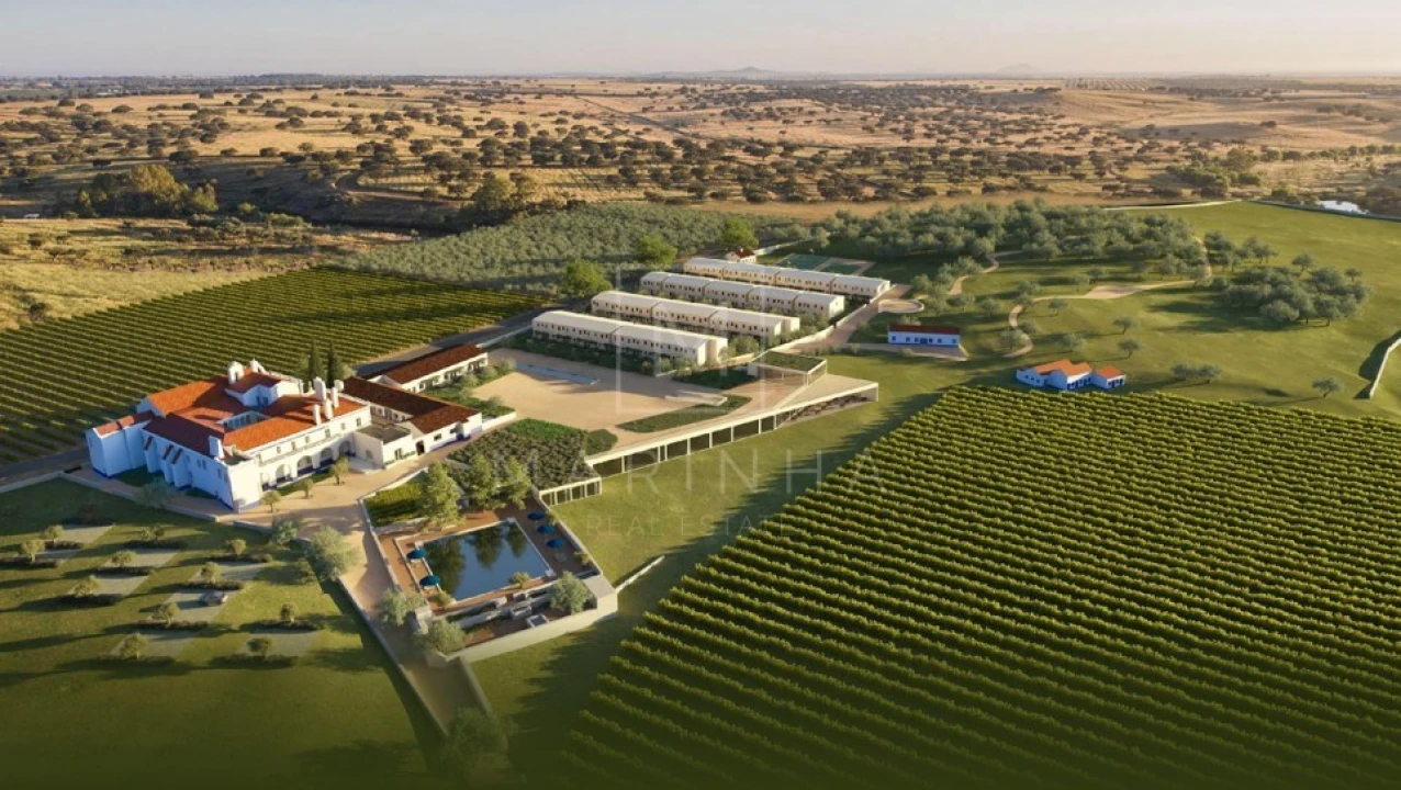 Negócio para Venda em Borba (Matriz) Foto 2