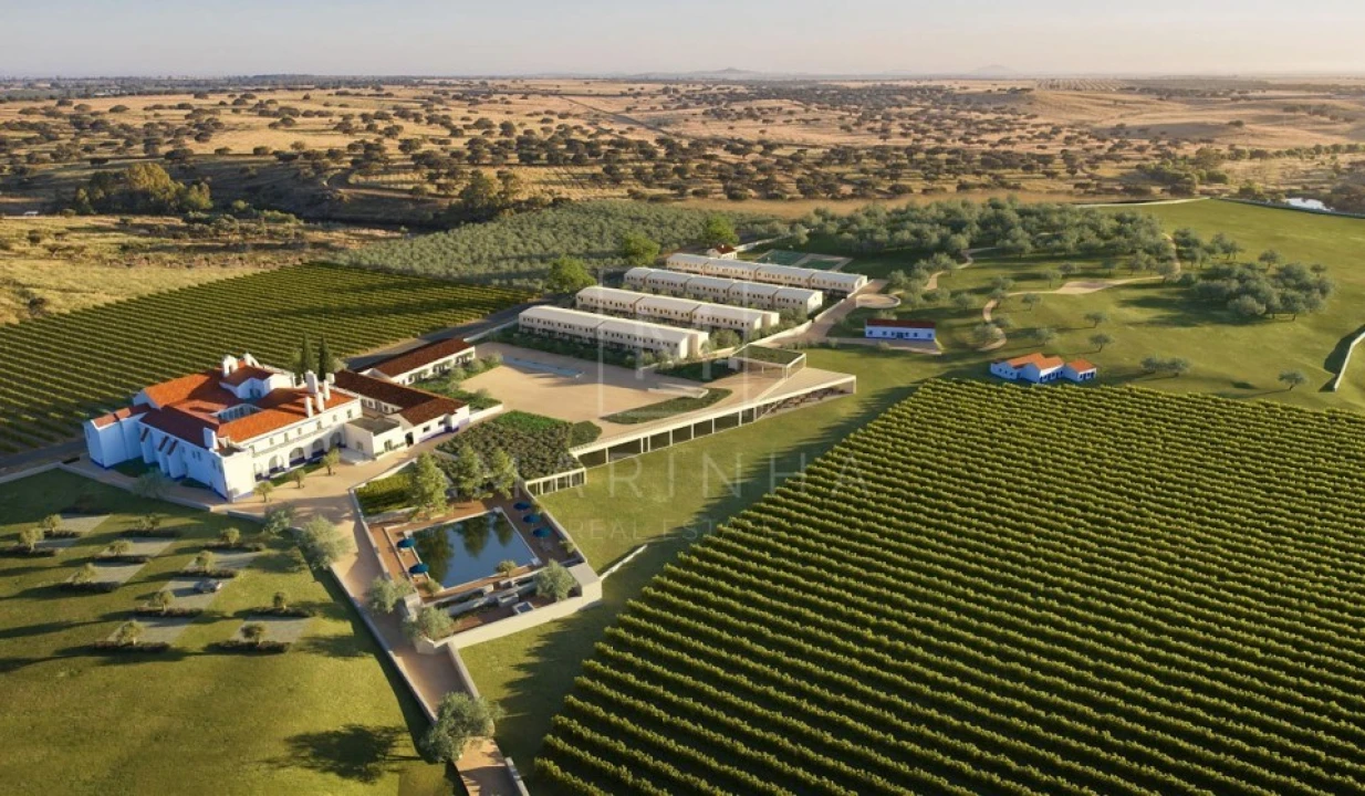 Negócio para Venda em Borba (Matriz) Foto 3