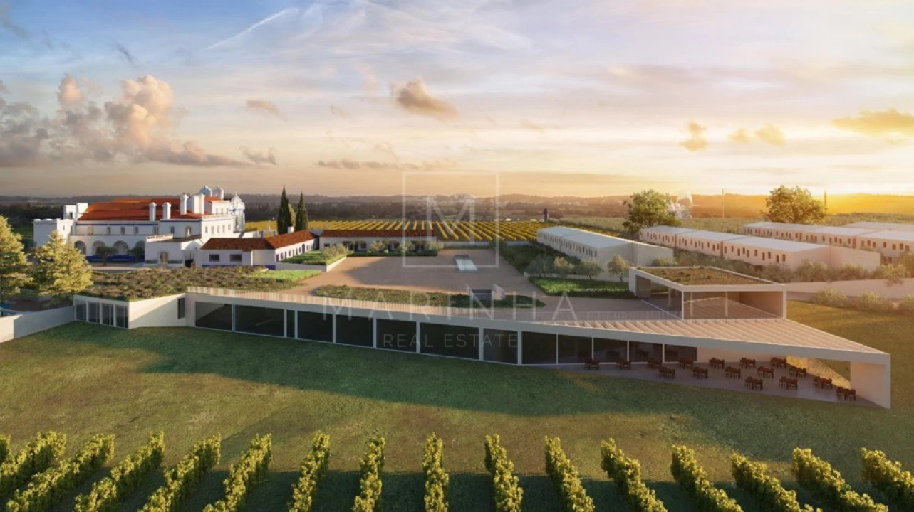 Negócio para Venda em Borba (Matriz) Foto 12