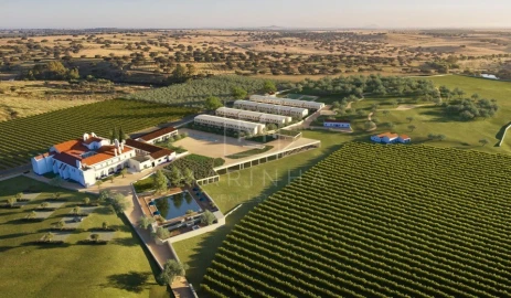 Negócio para Venda em Borba (Matriz)